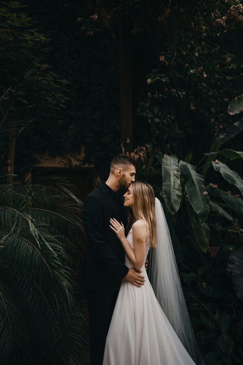 Couple embracing surrounded by lush tropical greenery
